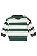 Noppies Baby - Jungen Boys Sweater Graveson Long Sleeve Stripe Pullover, Garden Topiary - N253, 74 EU