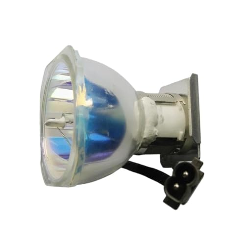 Ampoule de projecteur AN-100LP réparer écran noir sur XV-Z100
