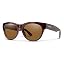 Tortoise / Polarized Brown