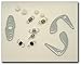 HEI Advance Curve Kit