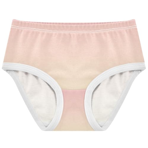 Joisal Toddlers Underwear Floral 2t Cotton Panties Little Girl Durable Briefs Undies Kids Blush Pink Cream Gradient