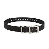 SportDOG Brand 3/4 Inch Collar Strap