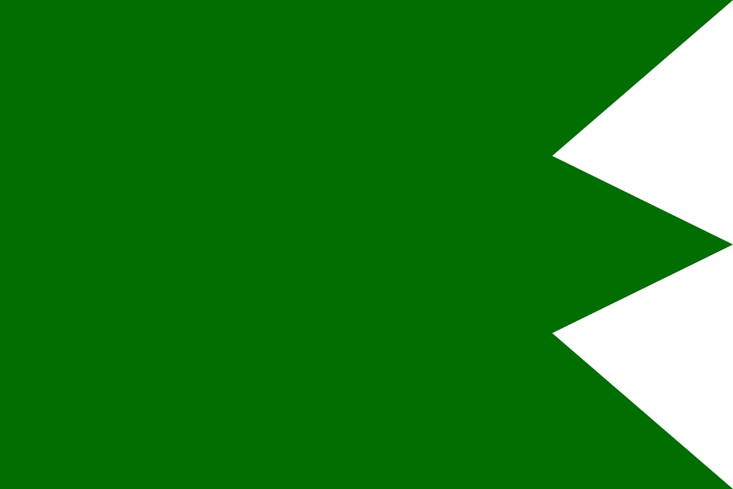 Drapeau Fatimide Tunis grand pavillon paysage horizontal historique