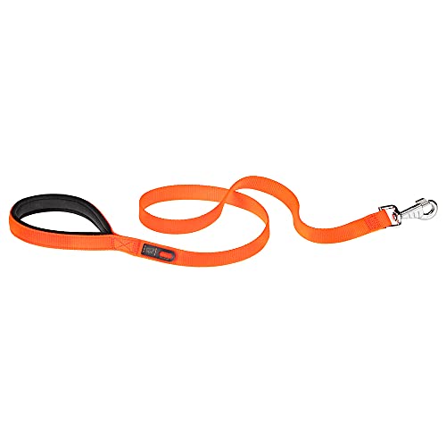 Ferplast Laisse pour Chien Daytona, Laisse en Nylon pour Petit Chien, 120 cm, avec poignée rembourrée Confortable et Mousqueton en métal. Orange