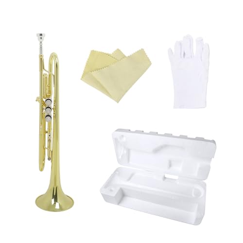 S҂v܂ŎgBgybg | ^J3ou݌vAtH[P[Xt | ϐFh~dグƖLȉFB}n/obNƌ݊(Golden)