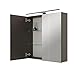 Produktbild Planetmöbel ARIA Spiegelschrank Bad mit Beleuchtung 70 cm breit | Badschrank hängend mit Spiegel | Anthrazit, mit Leuchte und Steckdose, Spiegelschrank Gäste WC 70 x 70 x 16 cm