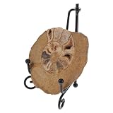 Ammonite colorata: l'esemplare di ammonite con motivi colorati e supporto è la scelta ideale per gli appassionati di geologia, oggetto decorativo da tavolo