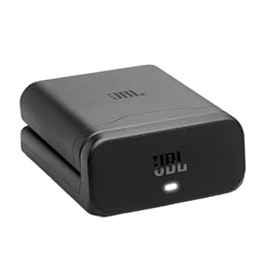 JBL Batterij 400 met oplaadcase ver...