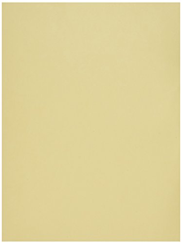 Pacon Light-Weight Multi-Purpose Tagboard, 9 X 12 in, Manila, Pack of 100