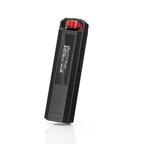 FiiO SNOWSKY Echo Nano Retro HiFi Music Player with Scroll Wheel CS43131 DAC USB DAC Lossless Audio Player Supporting DSD256/FLAC/WAV/MP3 3.5mm Output 256GB Expansion (Black)