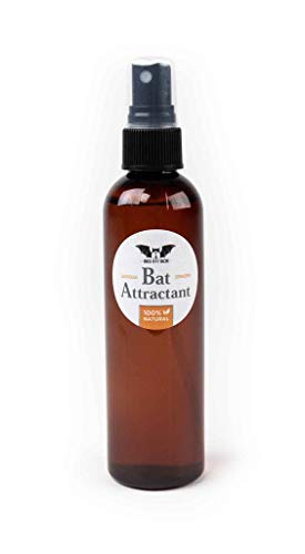 Bat Attractant
