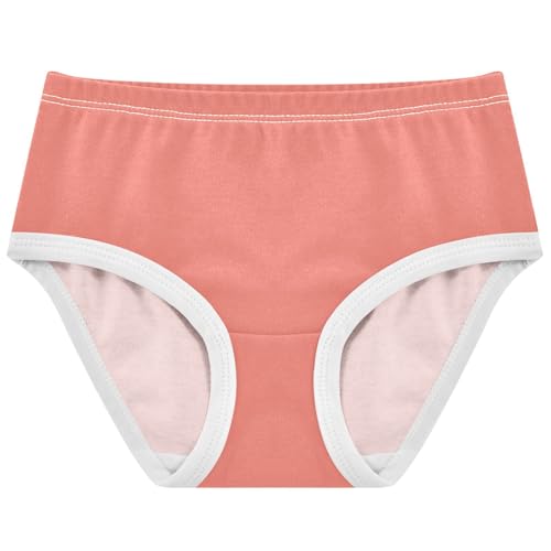 Joisal Toddler Girls Underwear 2t Cotton Cute Panties Girl Fun Kids Briefs Undies Pink Salmon