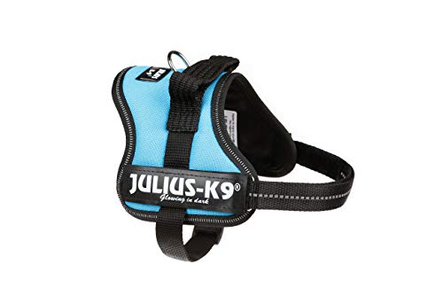 Julius-K9 Powerharness, Mini-Mini, Aquamarine #TOP3