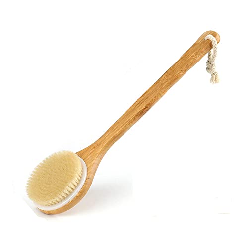 {fBuV w􂢃uVCpV[uV oXpiؖ ̐ t |