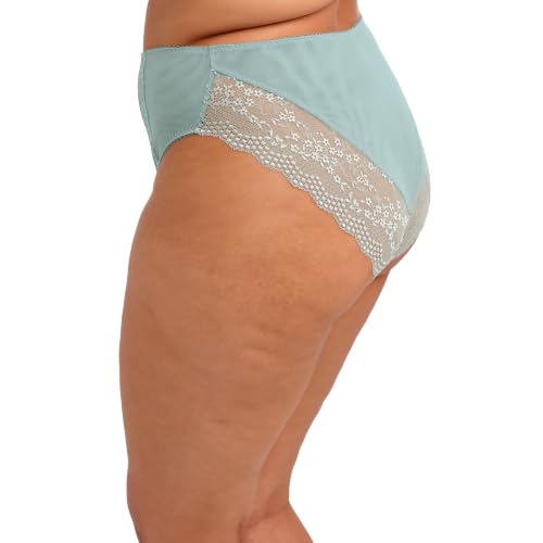 Image of Elomi 4498 Lucie High Leg Brief
