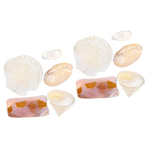 Cabilock 10 Piezas De Accesorios De Tiro Accesorio De Concha De Boda Decoración De Conchas De Acuario Adornos De Conchas Decoración De Conchas Creativas Decoración De Conchas