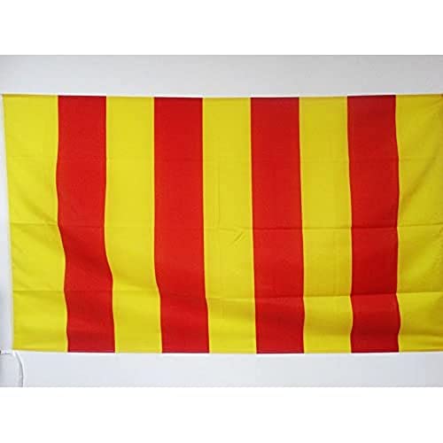 AZ FLAG - Drapeau Comté de Provence - 90x60 cm - Drapeau Provençal 100% Polyester Avec Fourreau et Cordelette - Pavillon 50 g