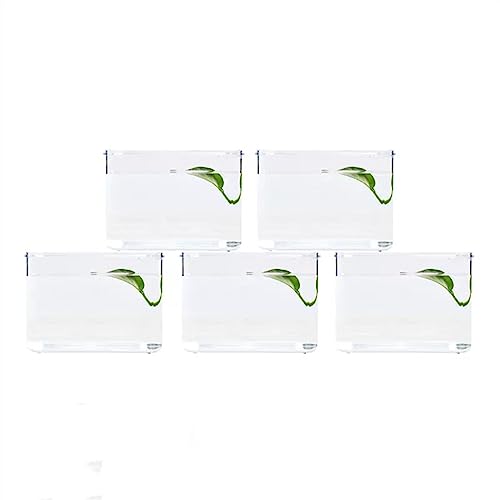 Pecera Pecera For Escritorio De Oficina, Pecera Pequeña, Caja Acrílica, Combinación De Pecera Pequeña De Un Solo Montaje, Transparente Para E Pecera Pecera For Escritorio De Oficina, Pecera Pequeña, Caja Acrílica, Combinación De Pecera Pequeña De Un Solo Montaje, Transparente Para E