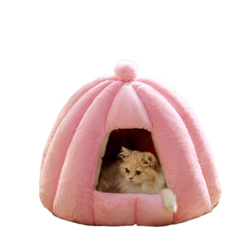 �L�n�E�X �L �ۉ� ���ӂ��� �y�b�g�x�b�h �ӂ�ӂ� �g���� �L�x�b�h ���� ����~�� �����΍� �h�� �~�p ���� �����p ���p �L�p