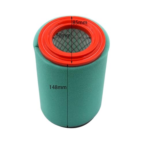Filtre à air Bruin 250 pour résoudre les pertes de puissance - 2