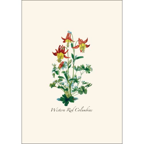 Image of Earth Sky + Water - Western Wildflower Assortment Notecard Set - 8 Blank Cards with Envelopes (2 each of 4 styles)