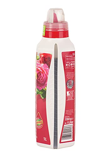 Compo Rosendünger für alle Rosen im Zimmer, in Kübeln, Beeten sowie im Freiland, Spezial-Flüssigdünger mit extra Magnesium, 1 Liter - Image 5