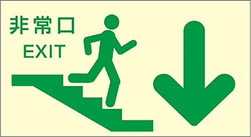 小松プロセス 蓄光式避難誘導標識 ステッカー 220mm×120mm (非常口 階段 右下)