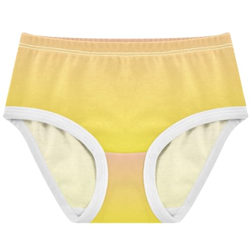 Joisal Blush Pink Yellow Gradient Toddler Underwear Floral 2t Cotton Panties Little Girl Durable Underpants Briefs