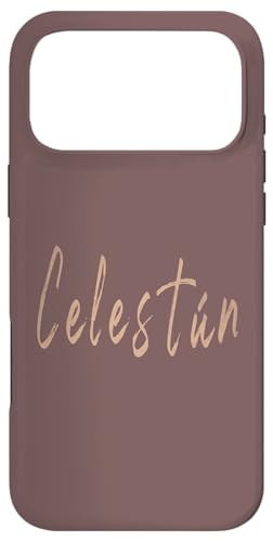 Celestun Mexico Be[WGKgȃfUC X}zP[X iPhone 17 Pro Max p