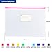 Tamaki 10 Pack Plastic Envelope Poly Zip Envelop Plastic Envelopes Files Zipper Folders, A4 Size, Letter Size, for School Office Supplies, 10 Color (13x9.25)