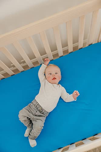 Image of Copper Pearl Premium Knit Baby Crib Sheets for Boys and Girls Breathable and Soft, Fitted Crib Sheets for Standard Baby Mattresses, Crib Sheet for Registry or Shower Gift, Blueberry