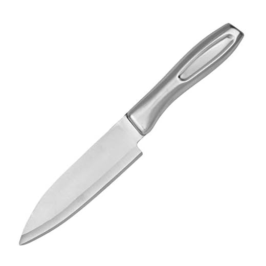 ROSTON Kitchen Knife Chopper Knife Chef's Knife Stainless Steel for Chopping Vegetables and Cutting Fruits (12 cm Blade)