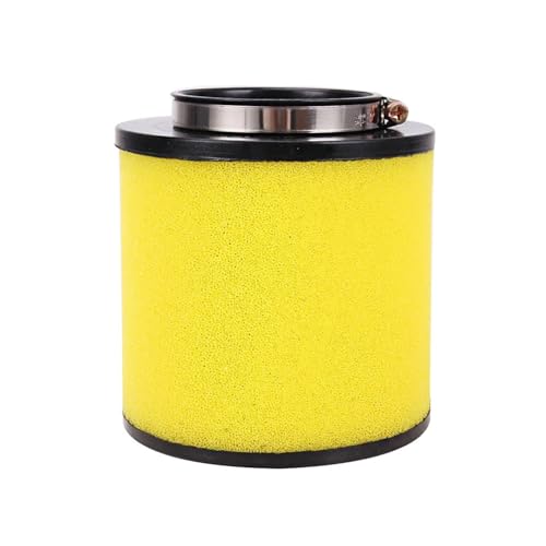 Filtre VTT pour réparer et entretenir le moteur TRX 400