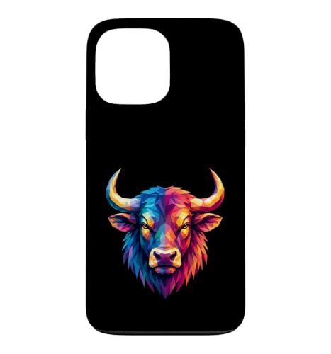 �J���t���Ȋ􉽊w�I�ȗY���̓������D�� �X�}�z�P�[�X iPhone 13 Pro Max �p