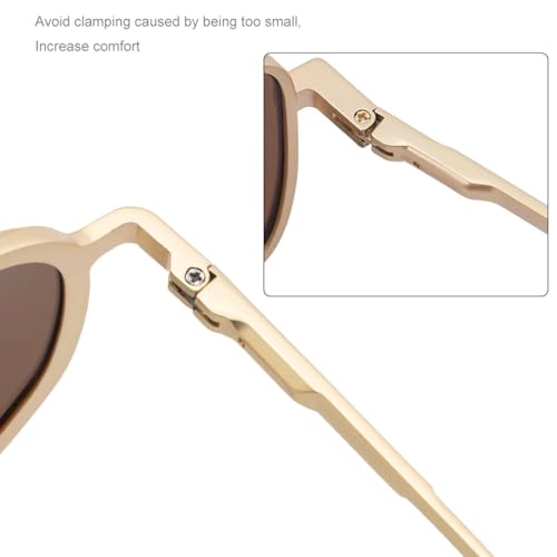 Small Frame Steampunk Sunglasses Men Luxury Vintage Metal Male Double Beam Classic Driving4