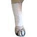 PawFlex Protective Sleeve Tubular Cover - Bandages - for Dogs Cats and Other Pets First Aid Wound Care Comfortable Non-Adhesive Breathable and Water Resistant 7 Strips (yields 14-21 Covers) - (Large)