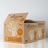 oecolife Toilettenpapier Box STROH, 3-lagig, 54 Rollen á 250 Blatt, Großpackung, superweich, plastikfrei verpackt, vegan, nachhaltiges Klopapier