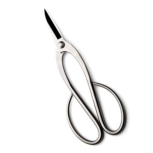 Beginner Bonsai Tools Top Pruning Scissors 200 Mm (7.5") Stainless Steel Standard Quality for Beginner Bonsai Peoples