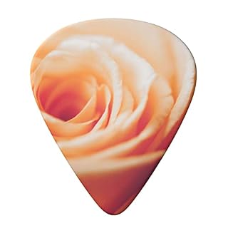 Lot de 6 médiators vintage imprimés roses pour guitare acoustique et électrique avec boîte de rangement - Les Beatles, Paul McCartney, John Lennon, RIngo Starr, George Harrison Lot de 6 médiators vintage imprimés roses pour guitare acoustique et électrique avec boîte de rangement – Image 3