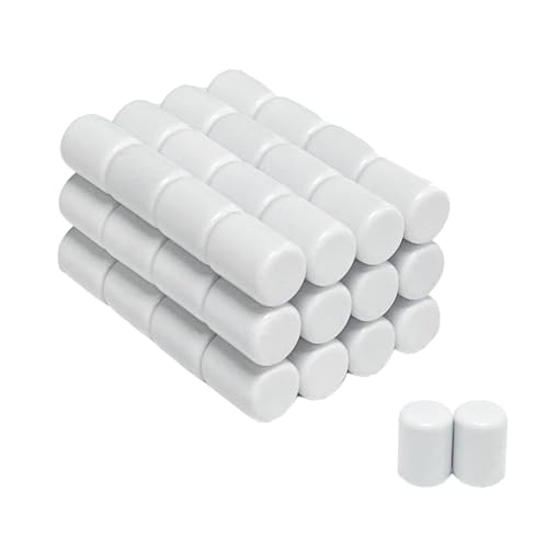 Aimants néodyme 6x8 mm lot de 50 mini cylindres blancs époxy pour bricolage