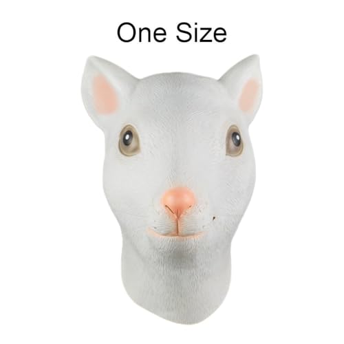 Photo complémentaire