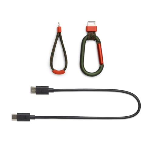 Image of JBL Flip 7 (Squad) + Bundle with USB-C Braided Cable