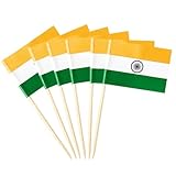 Indien Miniatur-Zahnstocher-Flaggen, Dekorationen, kleine Cupcake-Topper, Cocktail-Lebensmittel-Flaggen, Dekoration für Unabhängigkeitstag, Party-Bar (100 Stück)