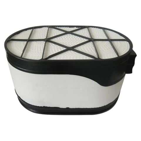 Filtre à air OTBEHUWJ P605536 Cover