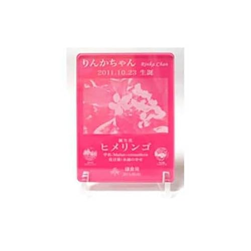 鎌倉市公園協会「プレミアム誕生花プレート」