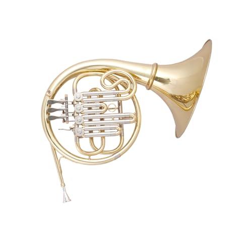 lp[tHjA ł̃v̉tɓKABtbgF̃L[̒P4L[t`z