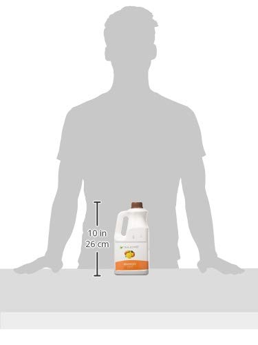 Tea Zone J1045 Mango Syrup (64oz) for Boba tea, beverages, sweets, ice cream, cocktails blending
