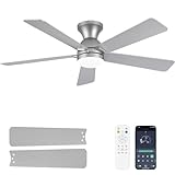 Dolavast Ceiling Fans with Lights and Remote, 48 Inch Ceiling Fan with Light, Low Profile, Reversible, Dimmable LED, Flush Mount, Quiet, DC Motor, Nickel Ceiling Fan for Bedroom, Kitchen, Dining Room