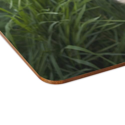 Dessous en liège grand format lot de 4 sets de table souples chien