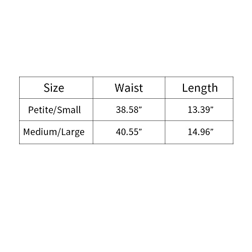 Danzcue Donna Chiffon Balletti Danza Gonna a